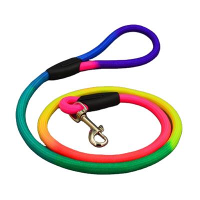 China Factory 1.2m Durable Nylon Dog Lead Colorful Dog Leash For Medium Small Dogs for sale