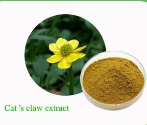 China Standard herbal extract Cat’s Claw Extract for sale