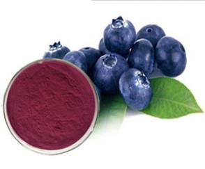 China Pure Natural Bilberry Fruit Powder, Bilberry Fruit Freeze Dried Powder, Bilberry Extract Powder for sale