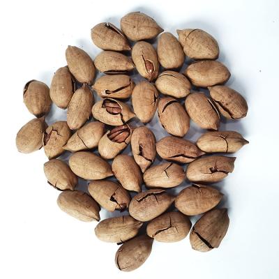 China Bulk Normal Pecannusse Shelling Price Organic Halves Cookie And Nozes Sheller Peeling Pecan Almond Nuts for sale