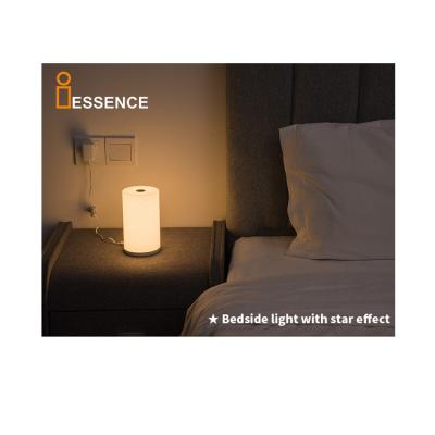 China Simple Wholesale Creative Star Effect Factory Bedside Warm Suitable Light Dimming Table Lamp for sale