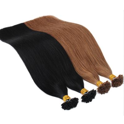 Cina Silky Straight Wave Cuticle Aligned Brazilian Hair Raw Hair Vendor U Tip Hair Extensions in vendita