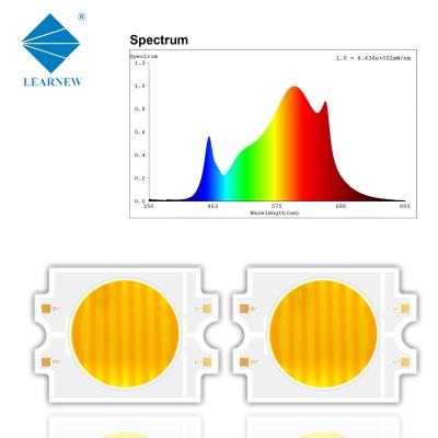 China 4055 Bi-Color Led Cob Chip 200w+200w 2700-6500k 72-75v Hochleistungs-Cob Led Chip zu verkaufen