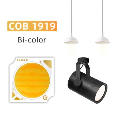 China Learnew Nieuw Product Bi-Color 1919 Chip Wit + warm wit 1919 Bi-color SMD LED 18w 24w 25w 30w Te koop