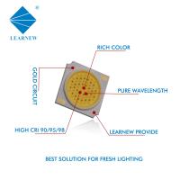 중국 높은 Cri 8000-10000K는 옥수수 속 칩 30W 신선한 빛 Epistar 칩을 지도했습니다 판매용