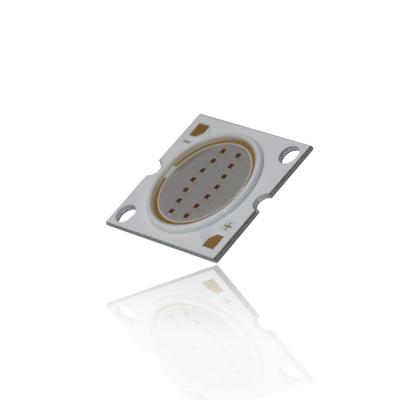 Cina La PANNOCCHIA di RoHS R20mm LES LED del CE scheggia il chip di 23*25mm 30W LED in vendita