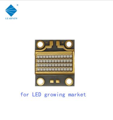 Cina ALN che rama il chip ultravioletto UV della PANNOCCHIA 54000mW LED di 126W LED in vendita