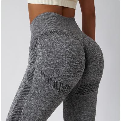 China Breathable 6415 buttery soft seamless scrunch butt leggings high waist seamless tights butt lift high waist seamless leggings for women for sale