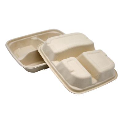 China Recyclable Sugar Cane Bagasse Paper Plates Lunch Box Kids Bento Lunch Box for sale