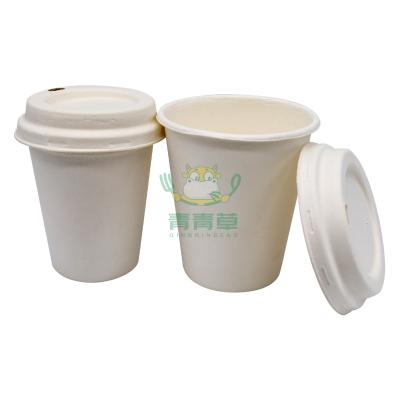 China Biodegradable Compostable Sugar Cane Take Away Coffee Cup With Lids for sale