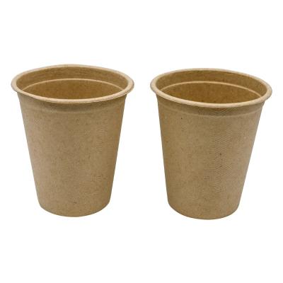 China 4oz Biodegradable Disposable Paper Cups Compostable Coffee Cups With Lids for sale