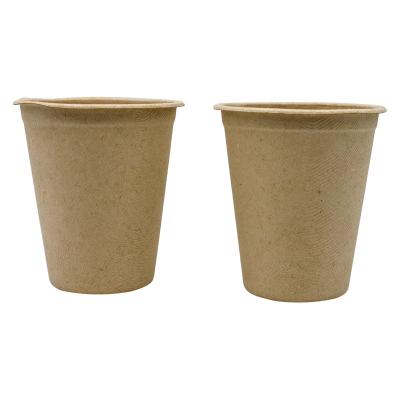 China Paper Cup Biodegradable Tray Eco-friendly Disposable Tableware Biodegradable Coffee Cup With Lid for sale