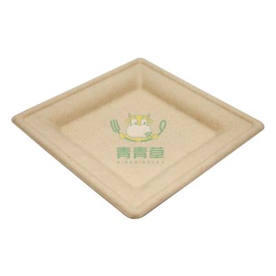 China Sugar Cane Biodegradable Dish Oval Dinner Plate for sale