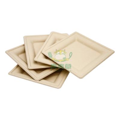 China Biodegradable Christmas Plates Biodegradable Fish Dish Disposable Candy Cane Bagasse for sale