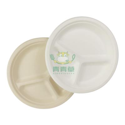 China Biodegradable take away biodegradable food container disposable food containers food packaging for sale