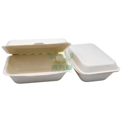 China Disposable Degradable Disposable Molded Pulp Bagasse Packaging Plant for sale