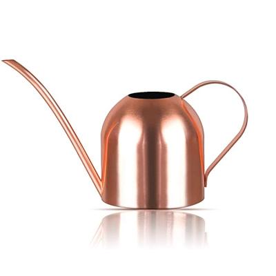 China Morden Modern Design Long Spout Watering Can Copper Plated Metal Pot Gardening Tools for sale