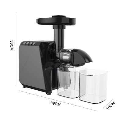 China LUFVEBUT B5100 Unique Low Speed ​​Extrusion Kitchen Electric Fresh Juicer Machine For Pineapple Ginger for sale