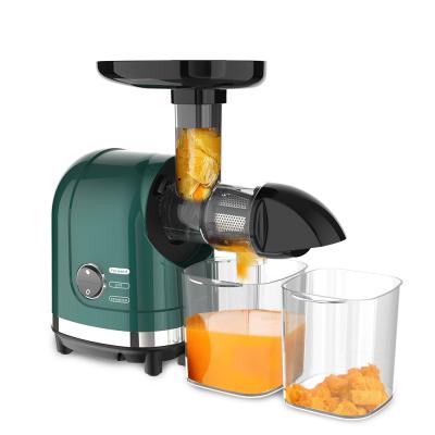 China Best Circuit Juicer Single Slow Speed ​​Electric Fruit Juicer Slow Masticating Juicer 150W Extrusion Extractor Juicer for sale