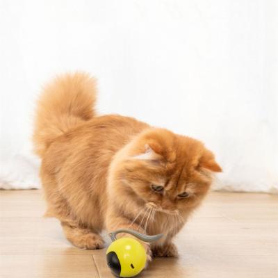 China Cat Toys Ball Smart Automatic Stocked Rolling USB Rechargeable Electric Interactive Ball With LED Light for sale