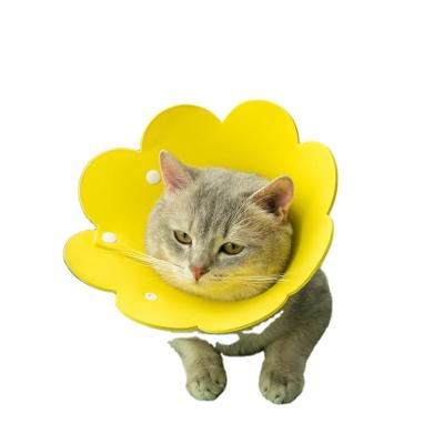 China Cute Surgery Adjustable Recovery Cones Neck Flower Stocked Elizabethan Collars For Cats Puppy Rabbits for sale