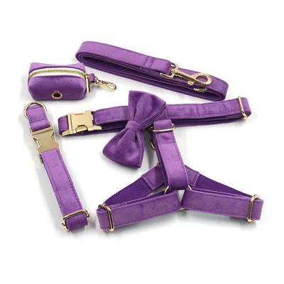 China New Dark Purple Stored Back Boutique Velvet Pet Collar Dog Leash Bow Tie Dog Poop Bag Dispensing Bag Set Chest Set Dog Harness Set for sale