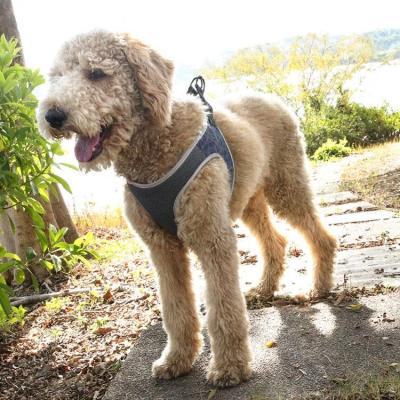 China Quick Release Pet Supplies Factory Wholesale Pet Chest Tie Down Chest Strap Vest Reflective Breathable Type Pet Harnesses Dog Harness for sale