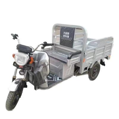 China Lithium Battery 3 Wheels Cargo Customized Electric Motorcycle Cargo Tricycle for sale