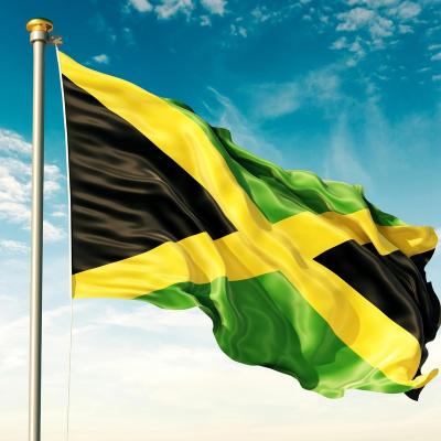 China Wholesale Cheap Vivid Automotive Solid Color Jamaica National Flags for sale