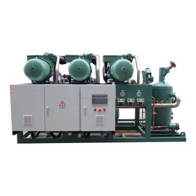 China Cold Room Fruit Storage Fish Vegetable Chamber Bitzer Compressor 40hpx3pcs Cold Condensing Unit for sale