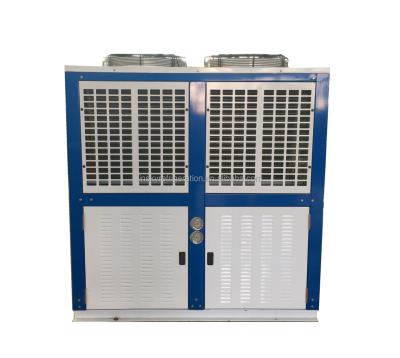 China Cold Room Fruit Storage Bitzer Compressor 12HP Refrigeration Compressor Condensing Unit for sale