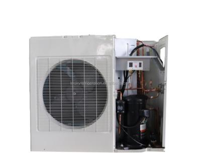 China Cold Room Small Fruit Storage Air Cooled 3Hp Copeland Compressor Cold Room Condensing Unit for sale