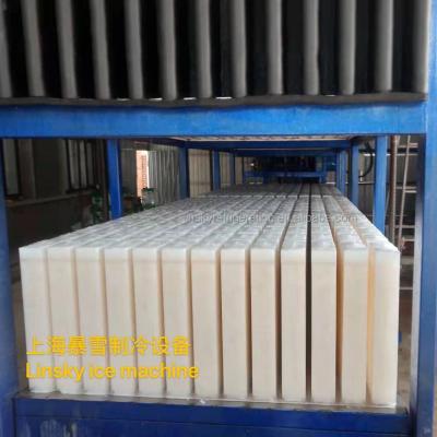 China Cool-keeping ice block machine 20 ton industrial ice block making machine for sale