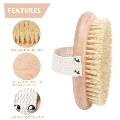 China All Natural Aquapaw High Quality Electric Dog Bath Massage Brush for sale