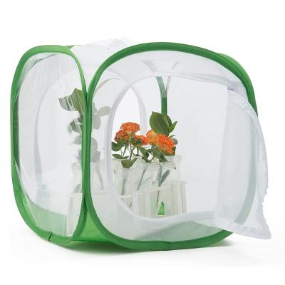 China Breathable Foldable Breeding Box Small Pet Butterfly Cages Plant Greenhouse Net Insect Cage for sale