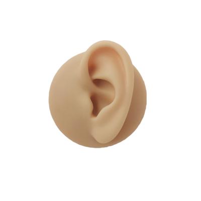 China Wholesale Silicone simulation earring model human earring jewelry human ear piercing display with bracket for sale