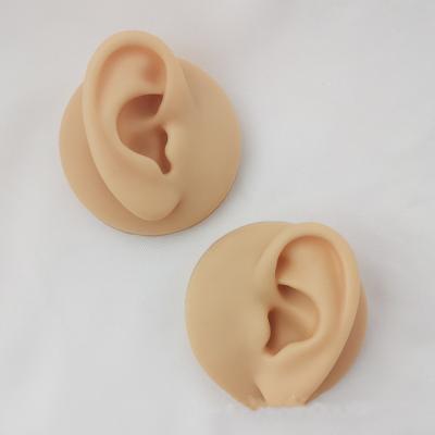 China Silicone Simulation Human Ear Soft Silicone Earring Model Display With Stand High Quality Silicone Customized Ear Model Silicon for sale