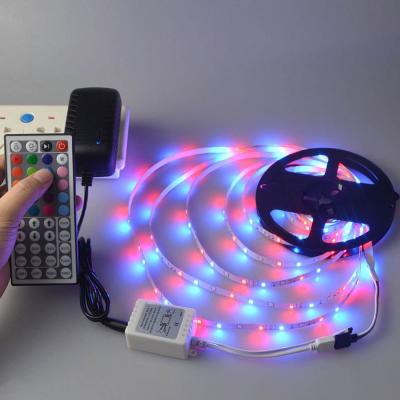 China LANDSCAPE LED Light 5m Set DC12V 5M 300LED 2835 RGB LED Strip Light with 24key Remote Controller Adapter for sale