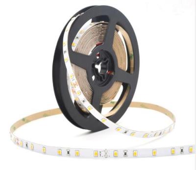 China LANDSCAPE DC12V 24V SMD 2835 300 Warm White 600 LEDs Cold White LED Strip Light for Lighting Decoration for sale