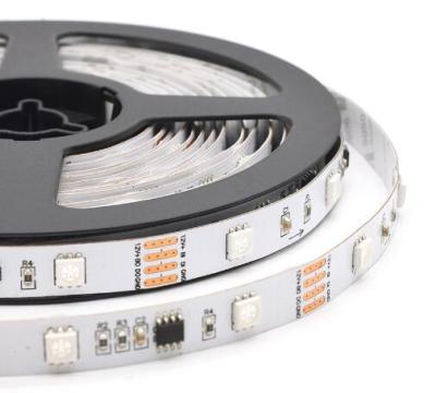 China LANDSCAPE Breakpoint Dreamy Abstract 5050 RGB 30led/m Color 12v Flexible Digital Flexible Led Strip Light TM1934 IC for sale