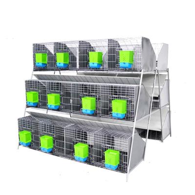 China Type 24 Position Rabbit Farms Ladder Cage for sale