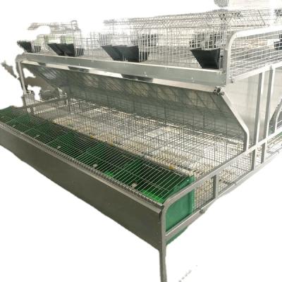 China Automatic Animal Cages Commercial Chicken Cages Rabbit Farms Cages Hot Product for sale