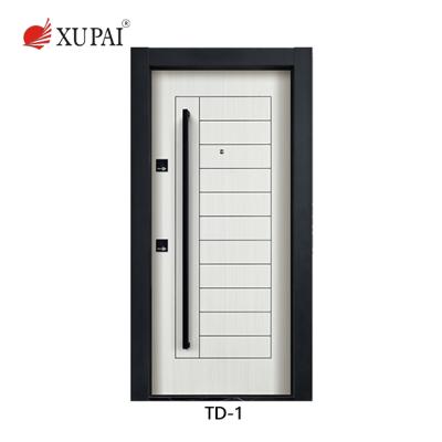 China Exterior Doors Modern Interior Steel Main Steel Security Wooden Steel Door for sale