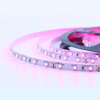 China Home Cheap Hot Sale Top Quality 3528 Smart Pink Flexible Led Light Strip for sale