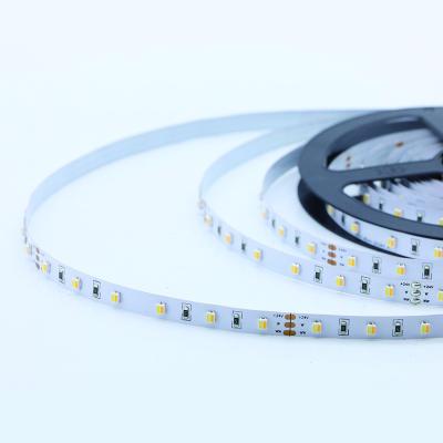 China Home Professional Manufacturer 12W/M 24V 2700+6000K Flexible IP20 Waterproof Led Strip Light for sale