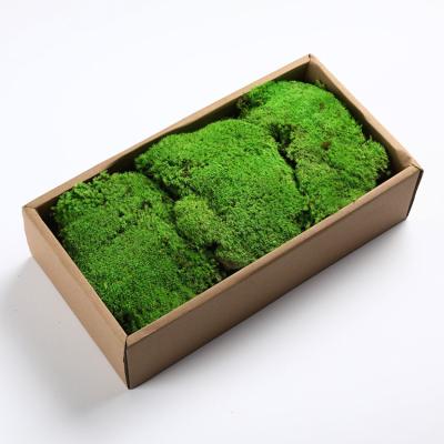 China Preserved Moss Block Hot Selling Natural Moss Wall Dried Moss Flower/Cushion Decoration Block for sale