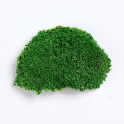 China Moss Factory Outlet Preserved Block Flowers Home Decor Preserved Moss Block /Cushion Moss for sale