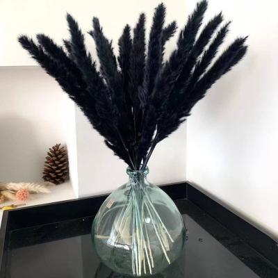 China Wedding Home Decoration Best Selling Natural Dry Pampas Grass Bouquet Black Decorative Pampas Grass For Wedding Home Decoration for sale