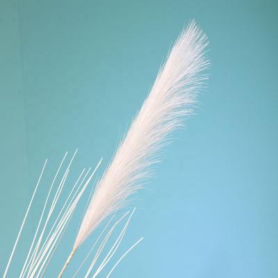 China Environmental Protection Dried Large Artificial Pampas Grass Plants Decor Fluffy Minimalist Plastic Fake Pampas Grass for sale