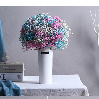 China Hot Sale Decoration Beautiful Flowers Gypsophila Decor Eternal Party Dried Flowers Preserved Gypsophila for sale